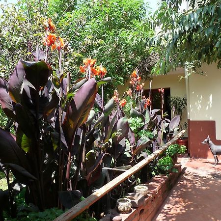 Kukuli Lodge B&B Cusco Exterior foto