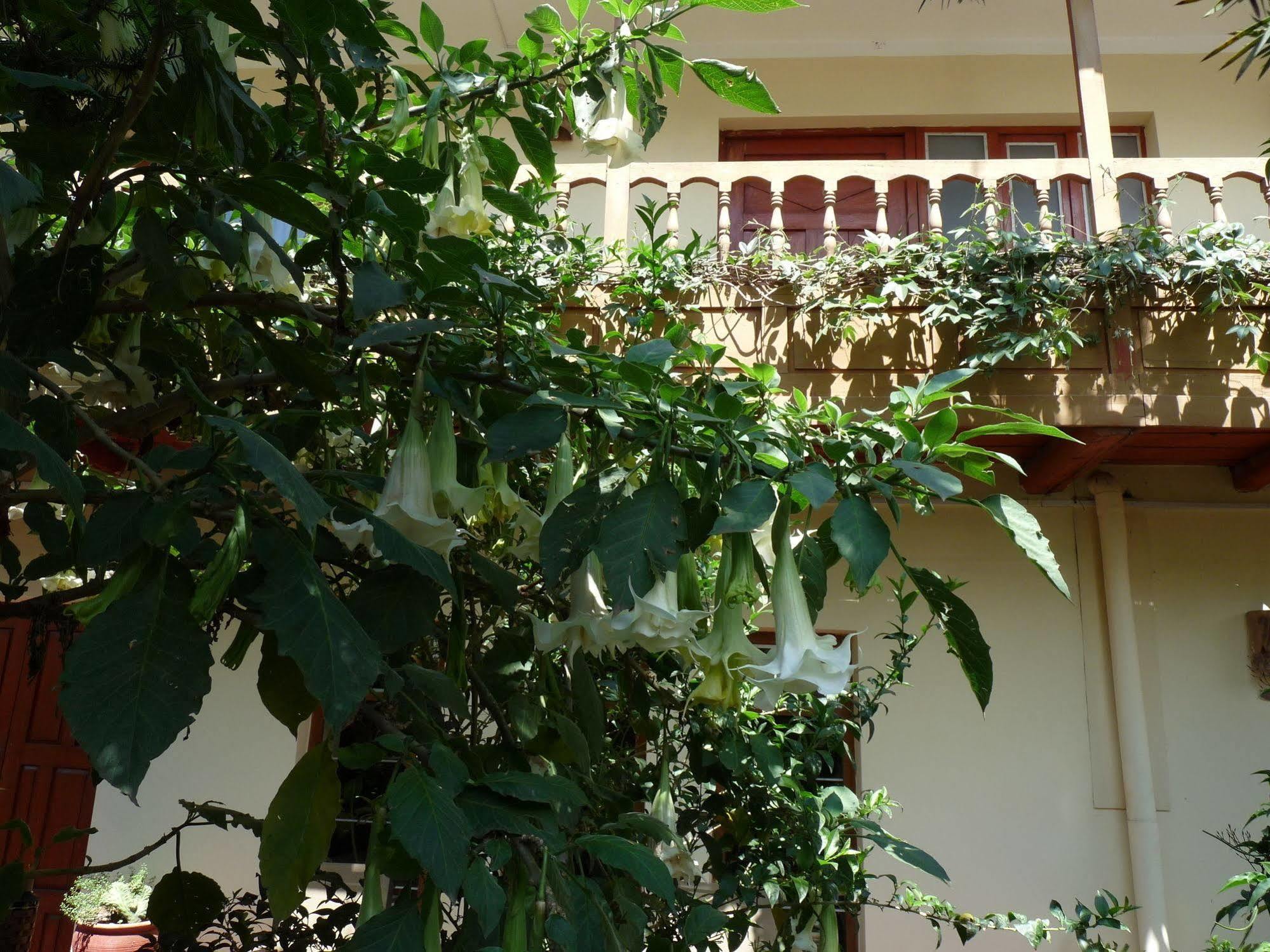 Kukuli Lodge B&B Cusco Exterior foto